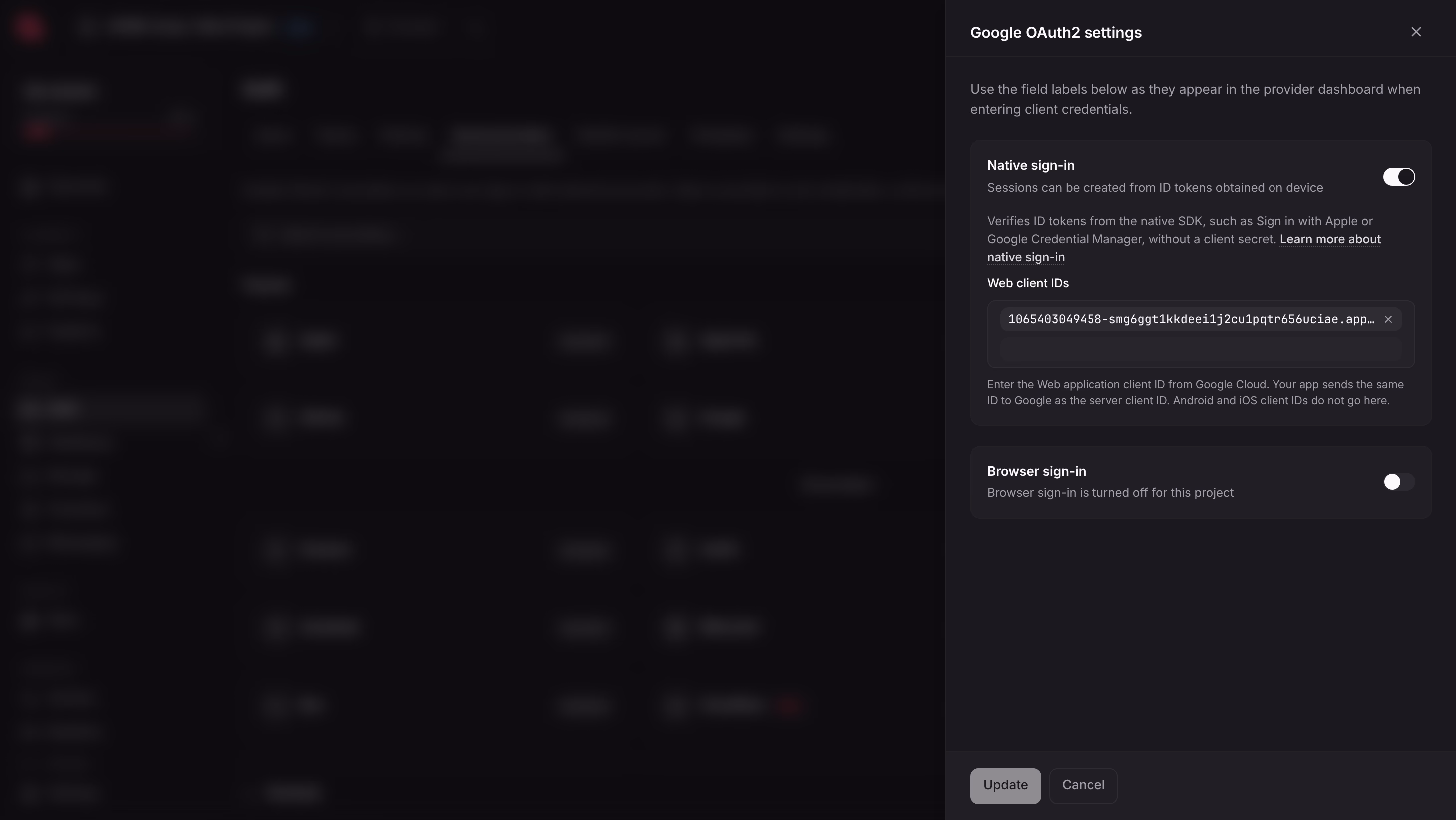 Google provider settings with native sign-in enabled