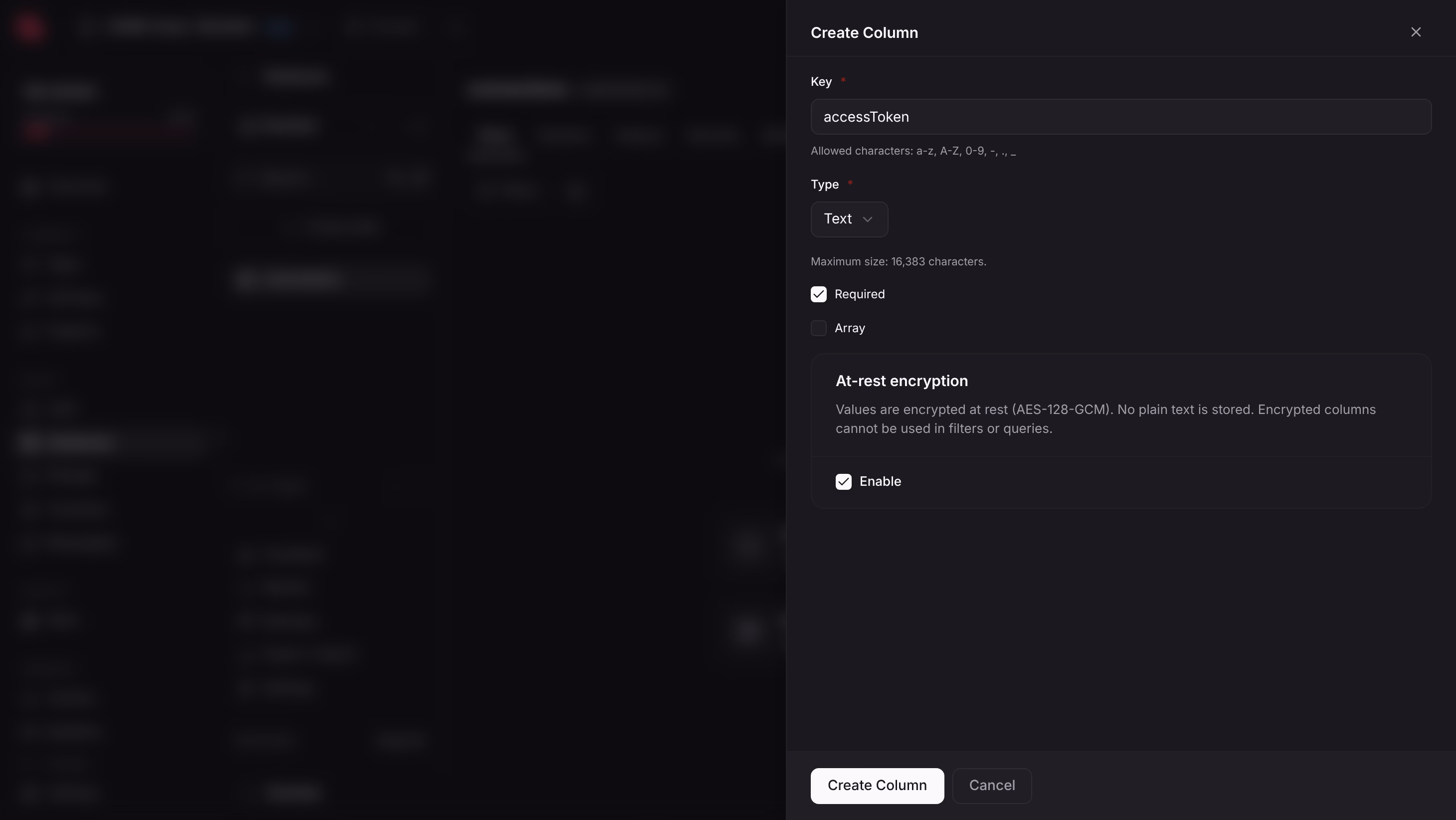 The Create column panel with the key accessToken, the type Text, and at-rest encryption enabled