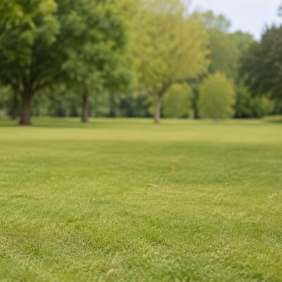 A center crop that removes the golden retriever and shows only the field