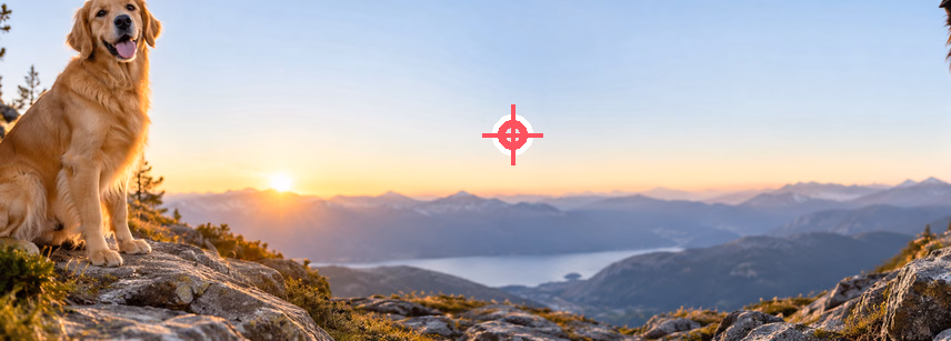 Two dogs on a mountain ridge with the focal point marked in the empty sky between them