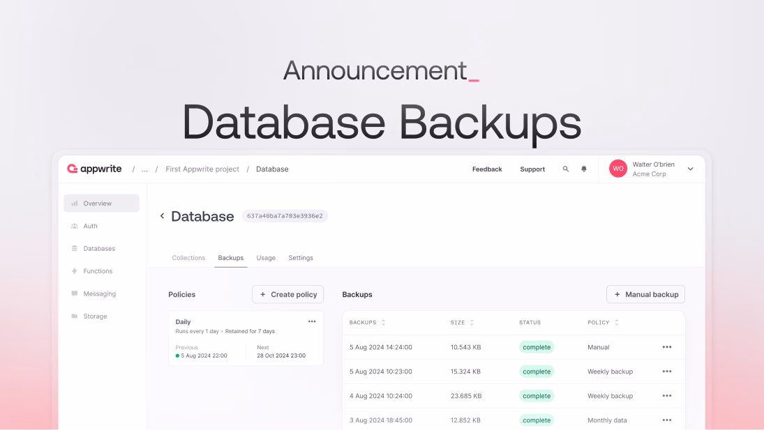 Introducing Database Backups
