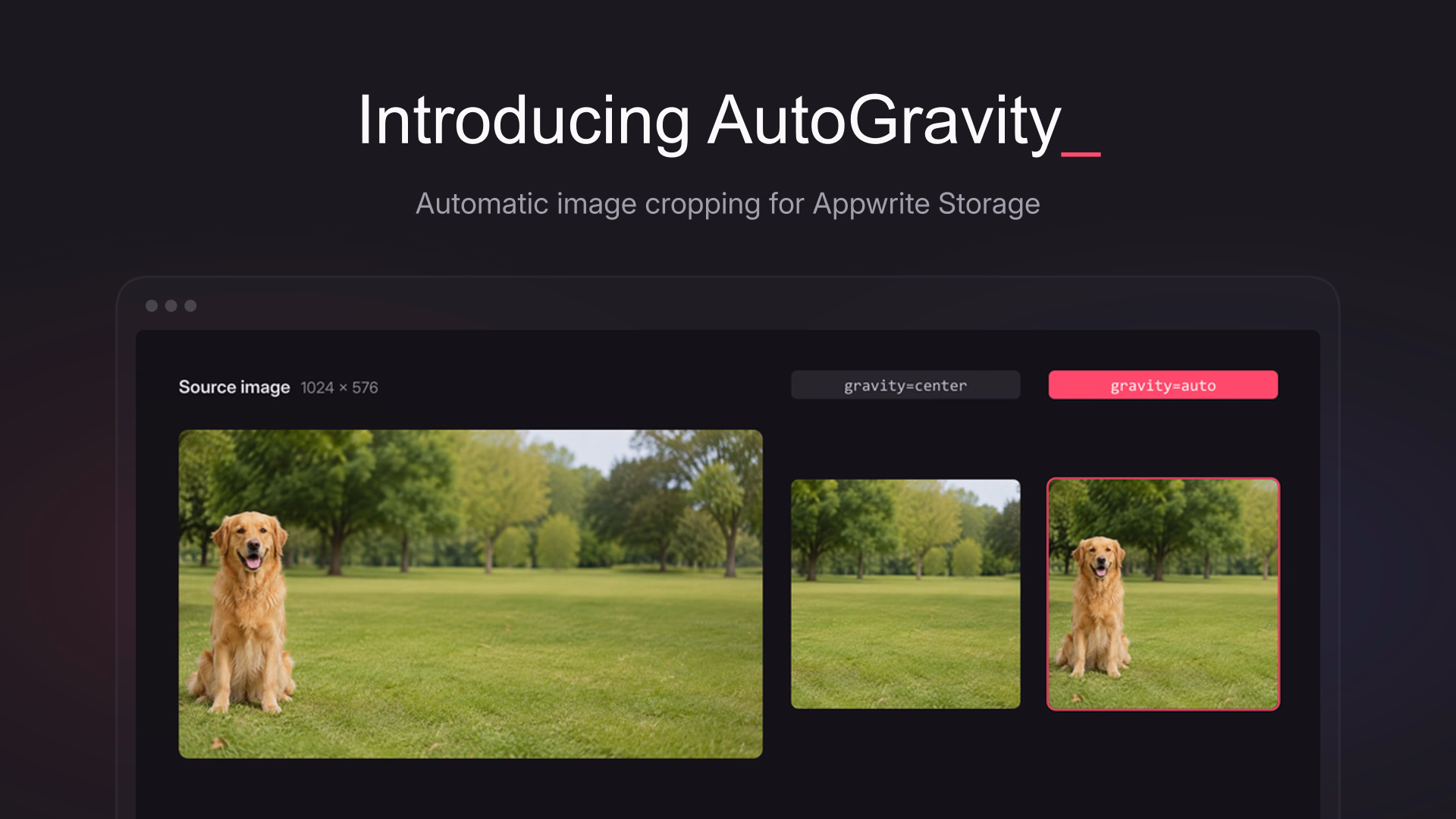 AutoGravity for Appwrite Storage