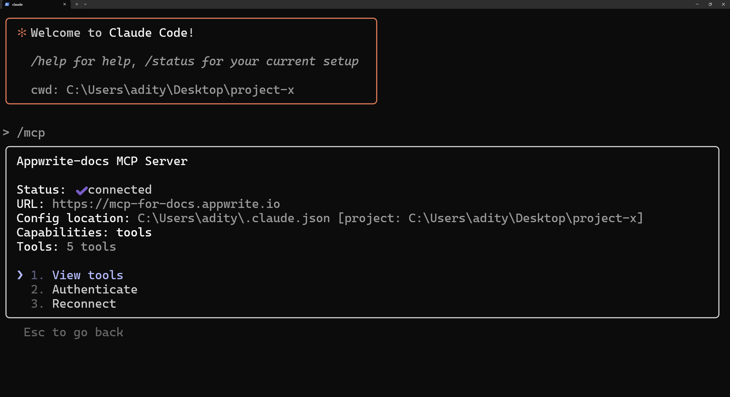 Verify MCP tools